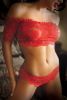 Vixen Rose & Thorn Lace Crop Top & Matching Panty Red L/xl